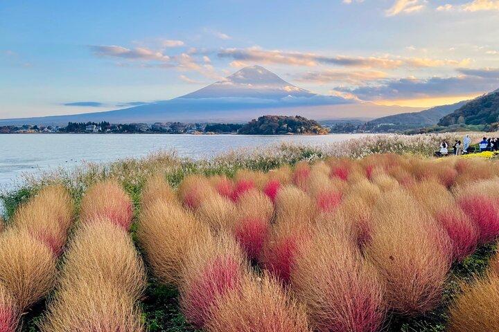 Mt. Fuji Autumn leaves And Heritage Village Trip Tokyo