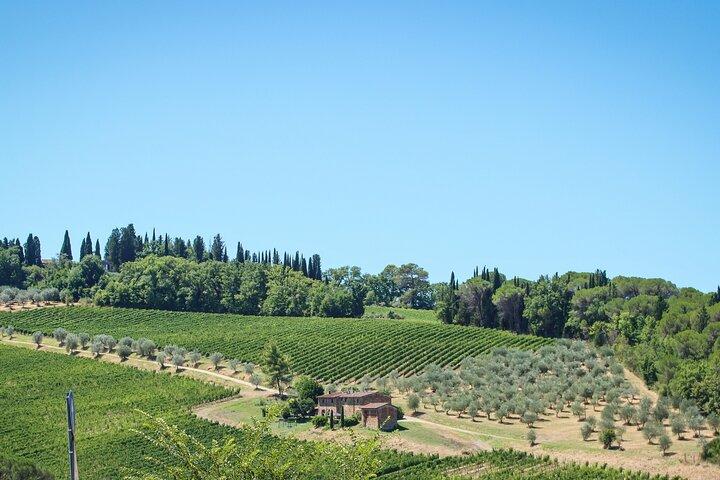 Florence Half Day Chianti Wine Tour with Tuscan Food Tastings