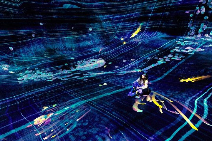 TeamLab Phenomena Abu Dhabi Ticket