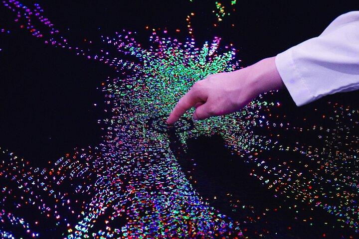 TeamLab Phenomena Abu Dhabi Ticket