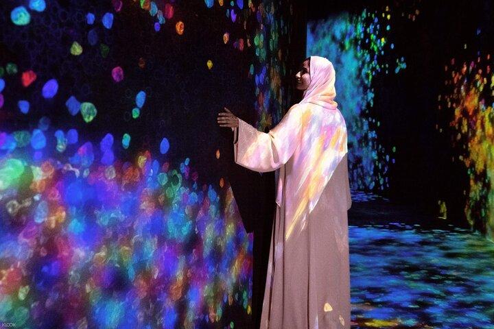 TeamLab Phenomena Abu Dhabi Ticket