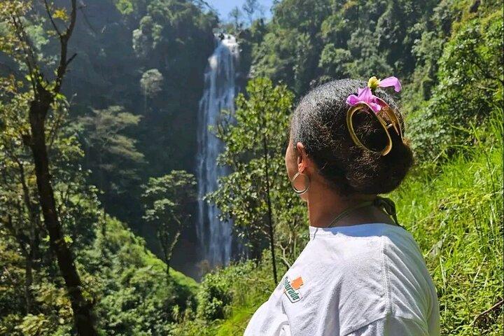 Visit Materuni Waterfall with Chimbo (origin) Point & Coffee Tour