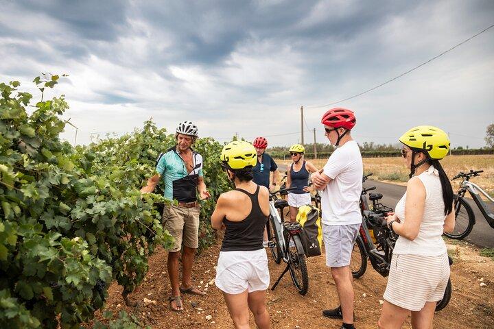 Lecce to Gallipoli E-Bike Tour with Swim, Farm Tasting +Taxi back
