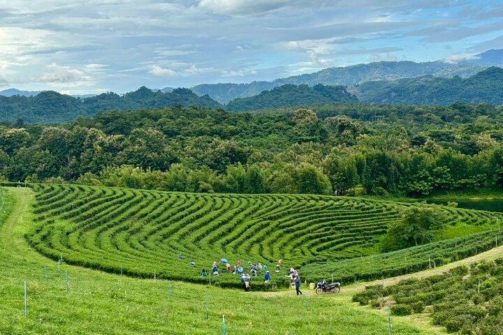Chiang Rai Northern Thailand Tour with Golden Triangle