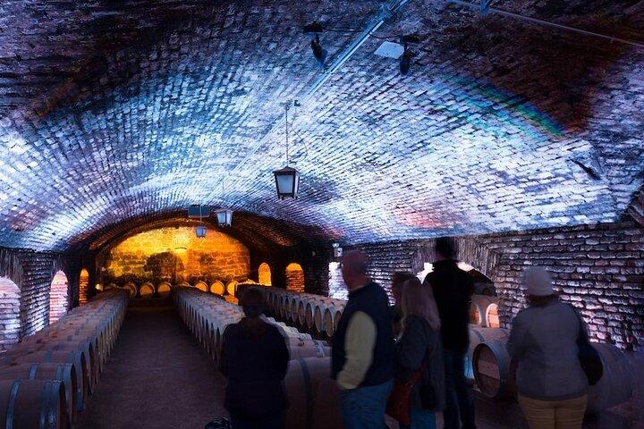 Casillero del Diablo Night Experience – Cellars, Wine & Dinner