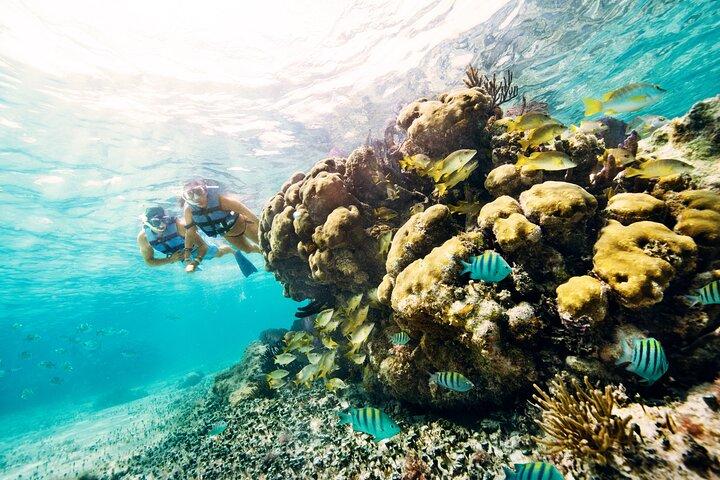 Speedboat across the Mangroves & Snorkel with Jet Ski Rental