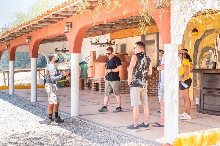Side by Side Adventure in Los Cabos UTV Experience