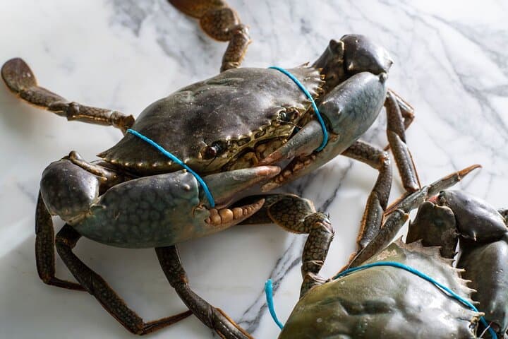 Sydney Fish Market: Singapore Chilli Mud Crab Cooking Class