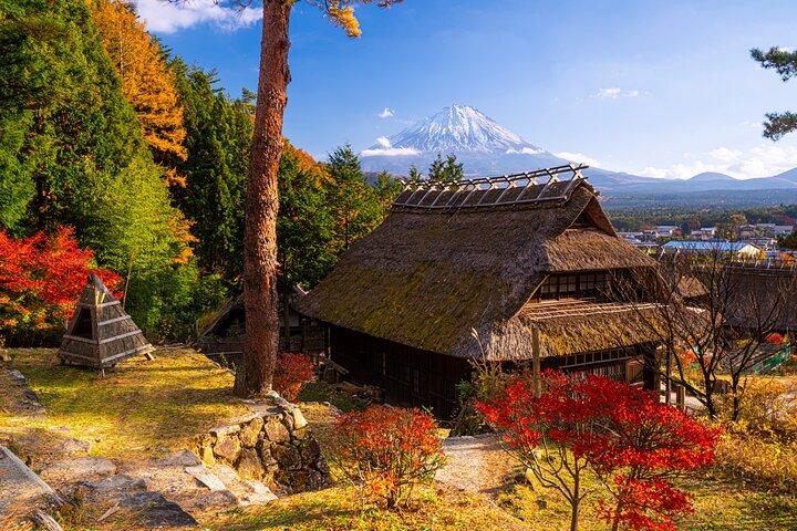 Mt. Fuji Autumn leaves And Heritage Village Trip Tokyo