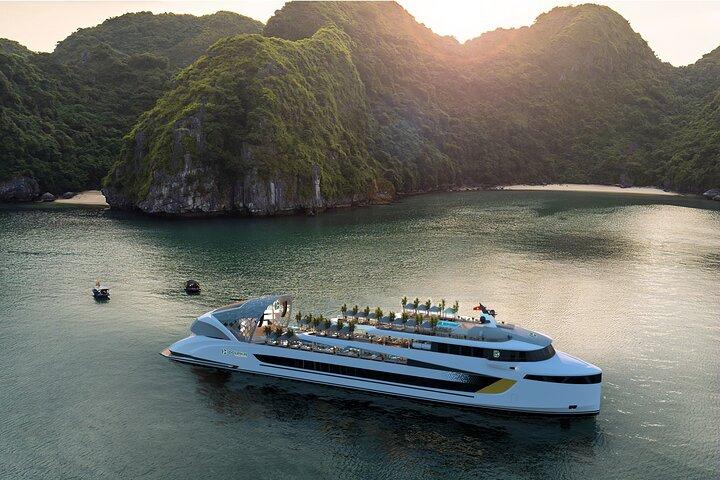Dolphin Day Cruise: Halong Bay’s Finest Luxury Escape from Harbor