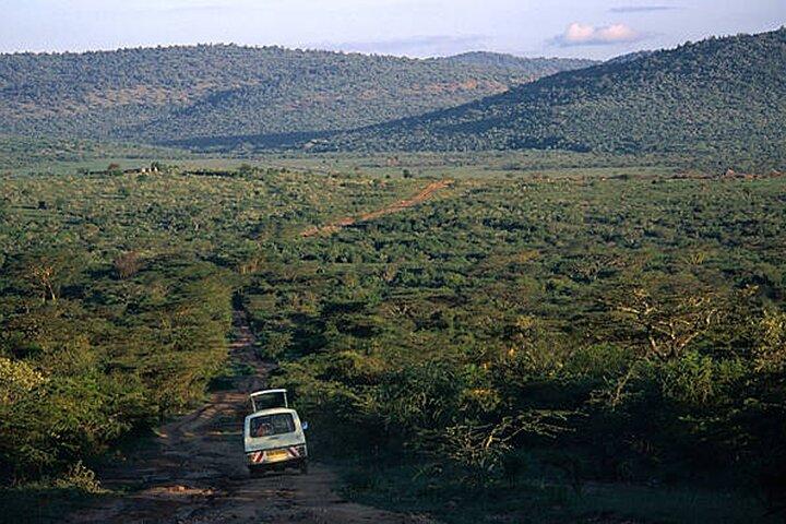 6 days Masai Mara Lake Nakuru & Naivasha Safari Boat Ride
