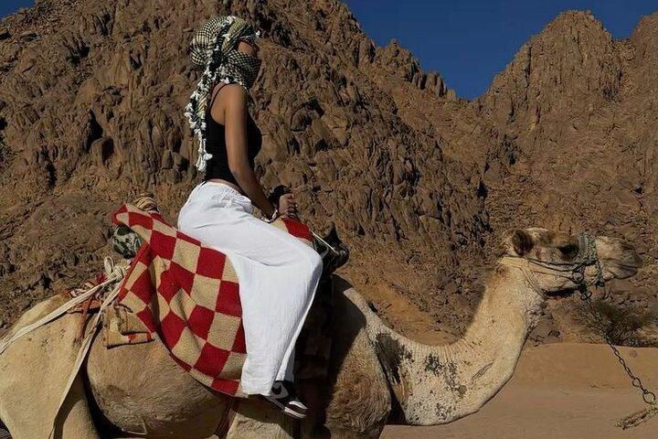 Quad Bike and Camel Ride with Bedouin Dinner in Sharm El Sheikh