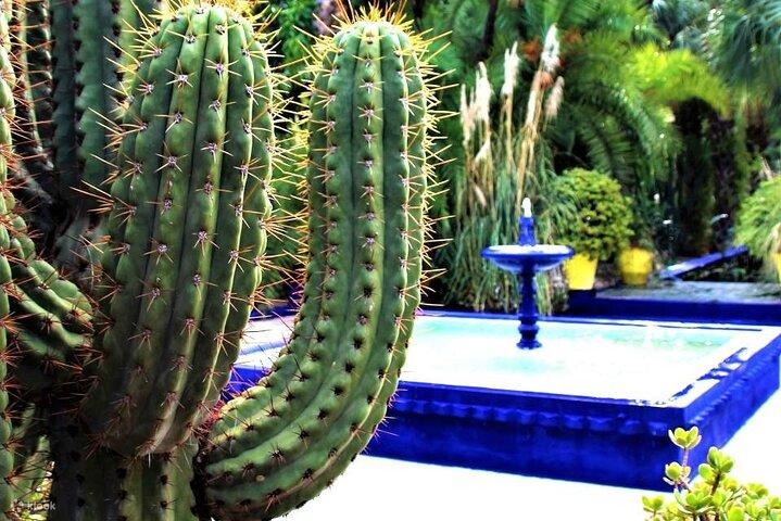 Combo, majorelle garden, berber & St Laurent round trip & tickets