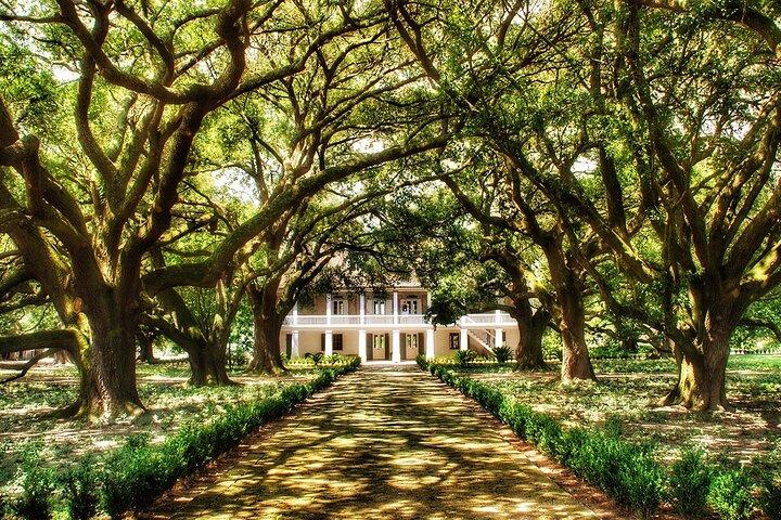 Swamp Boat Ride and Whitney Plantation Tour from New Orleans