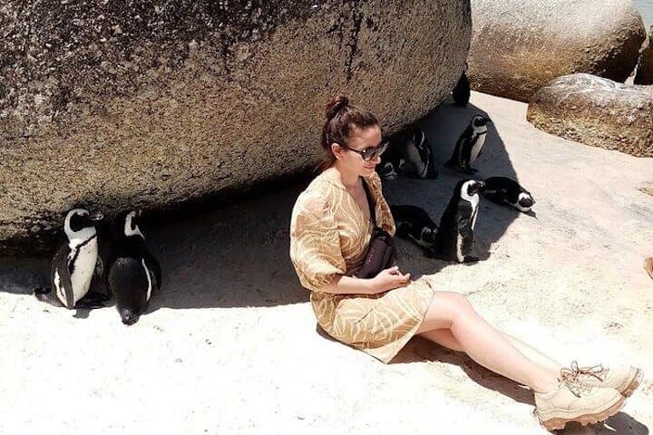 Private Tour: Penguins, Cape Point and Cape of Good Hope
