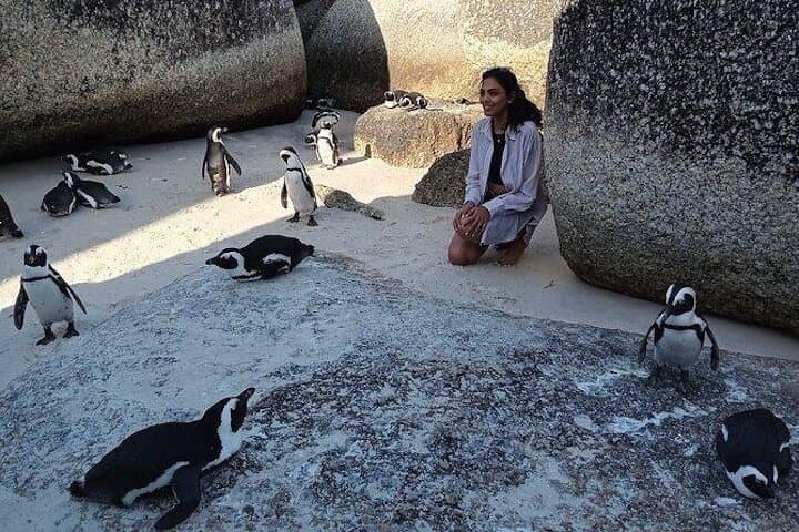 Private Tour: Penguins, Cape Point and Cape of Good Hope