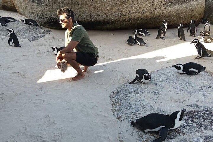 Private Tour: Penguins, Cape Point and Cape of Good Hope