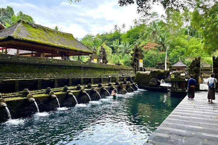 Ubud Private Tour: Waterfalls, Temple and Rice Terraces Swing