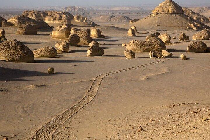 Safari El Fayoum Oasis Waterfalls and Valley of the Whales