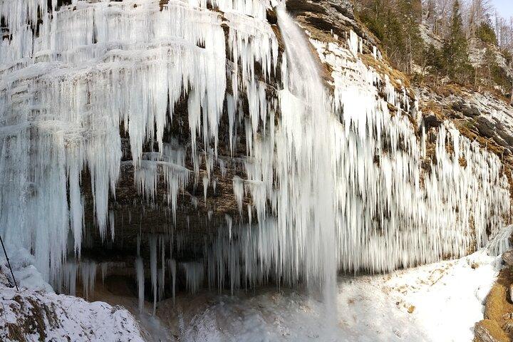 West Triglav National Park Adventure - Half day trip from Bled