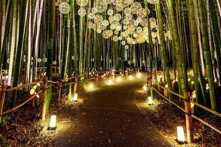 Kyoto Highlights Private Tour with Local driver