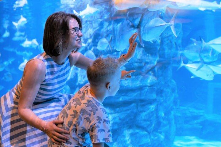 Aquaria Phuket Ticket