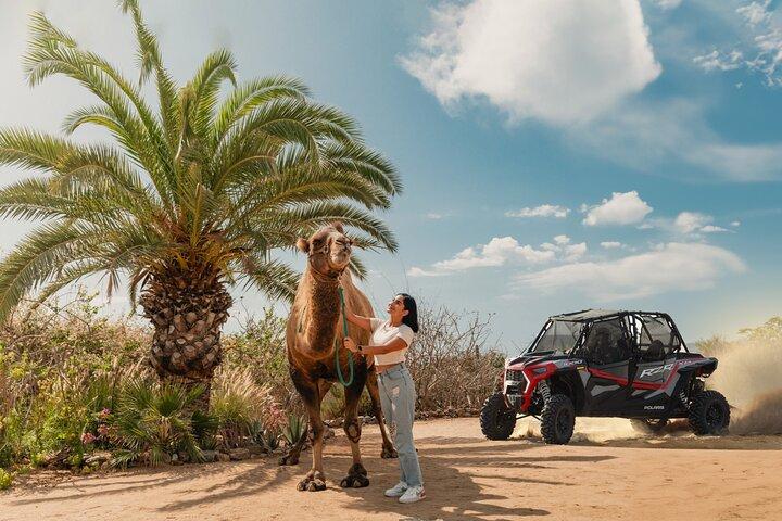 UTV Side by Side Experience and Camel Ride in Los Cabos