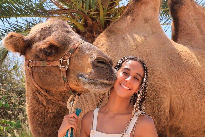 UTV Side by Side Experience and Camel Ride in Los Cabos