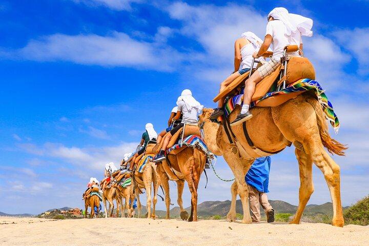 UTV Side by Side Experience and Camel Ride in Los Cabos