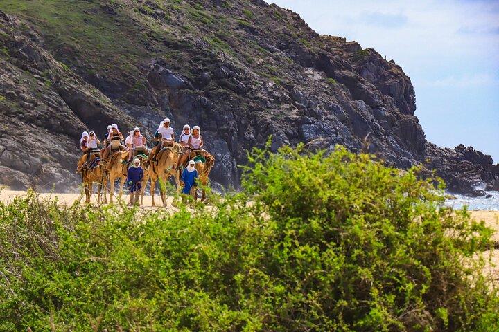 Los Cabos Outback and Camel Safari with Tequila Tasting