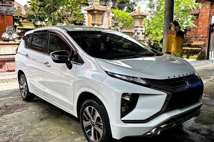 Bali Private Car Full Day Customized Tour With Drone Service