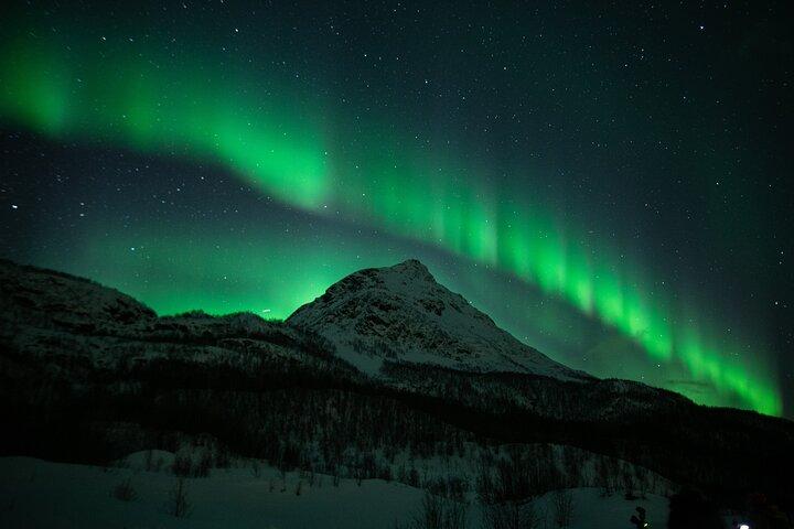 Northern Lights Big Bus Chase with Chasing Lights