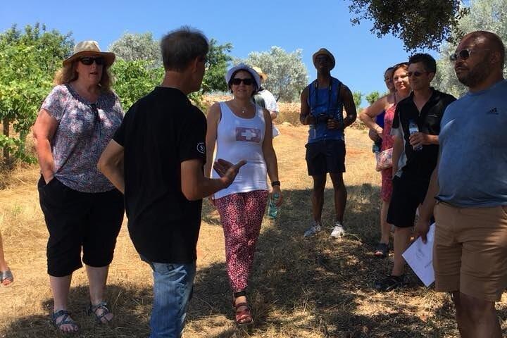 Wine Tasting Tour in Algarve Winery