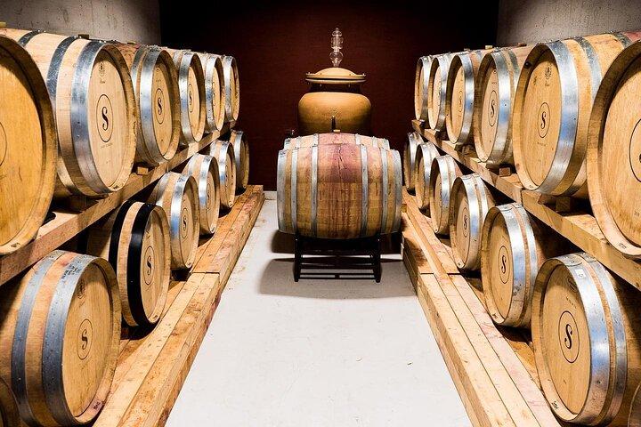 Wine Tasting Tour in Algarve Winery