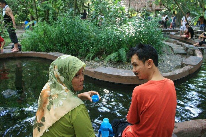 Sungkai Hot Springs & Nature Park Tour from Kuala Lumpur