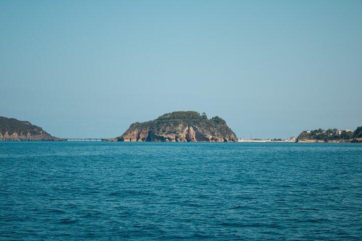 Full-Day Boat Tour to Ischia and Procida from Naples