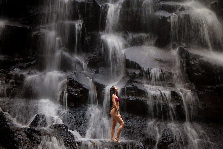 Best of Ubud Waterfalls, Tegalalang Rice Terrace & Jungle Swing