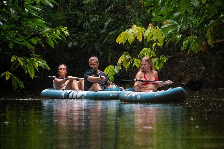The Sloth and Kayak Tour - Ethical wildlife encounters