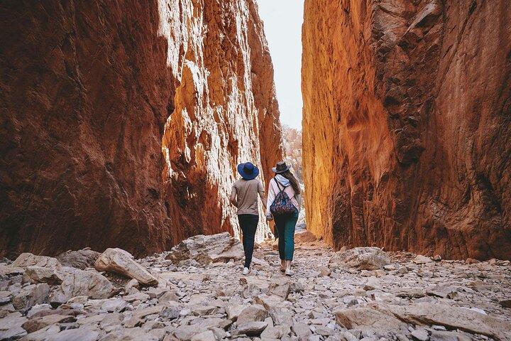 Half Day West MacDonnell Ranges Morning Tour: From Alice Springs
