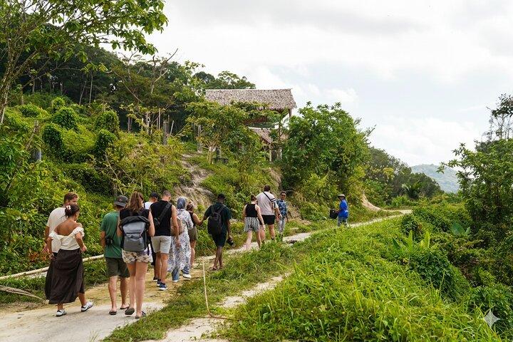 Phuket Ethical Elephant Sanctuary Guided Tour and Hotel Transfers