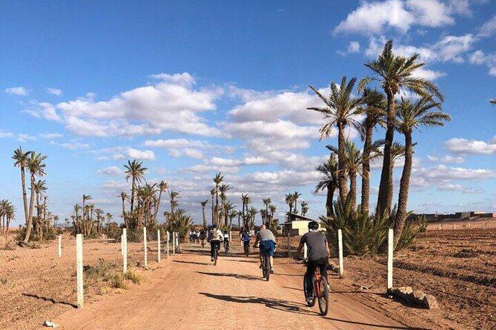 Cycling tour in marrakesh desert