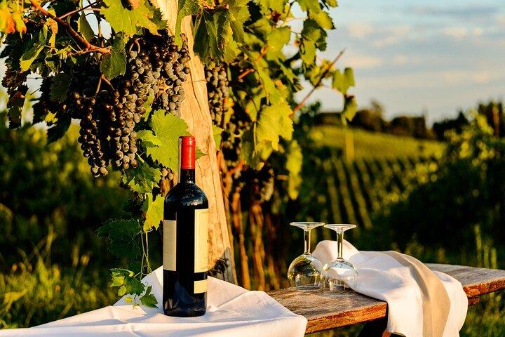 Chianti Delights: Tuscany Private Wine Tour from Florence