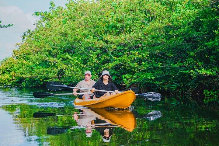 Kayaking Adventure on serene waters through mangroves, Akurala