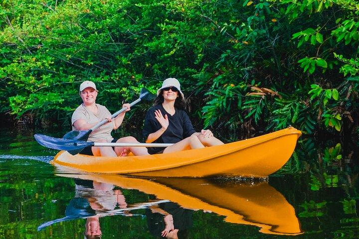 Kayaking Adventure on serene waters through mangroves, Akurala