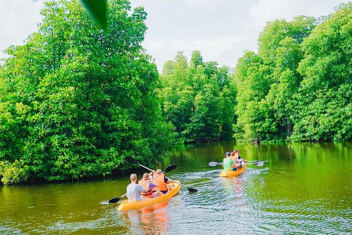 Kayaking Adventure on serene waters through mangroves, Akurala