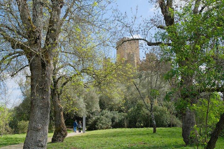 Templar River: Tomar and Almourol Shared Tour