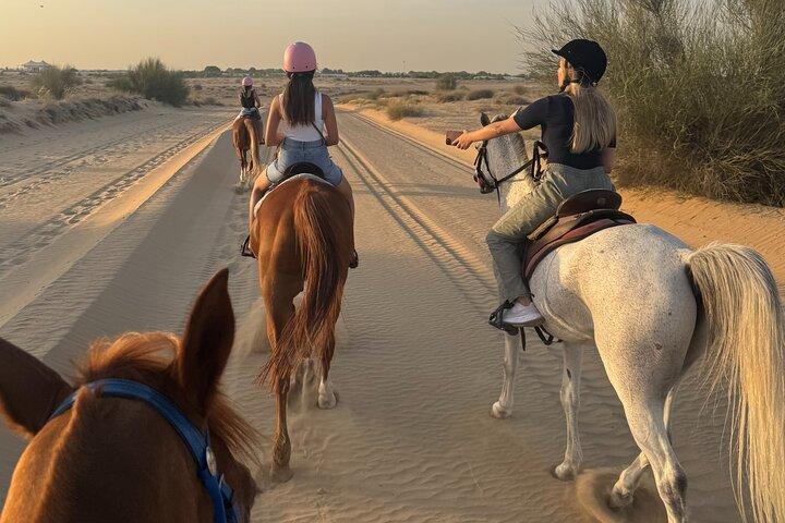 Desert and Beach Horse Ride Guided Adventure