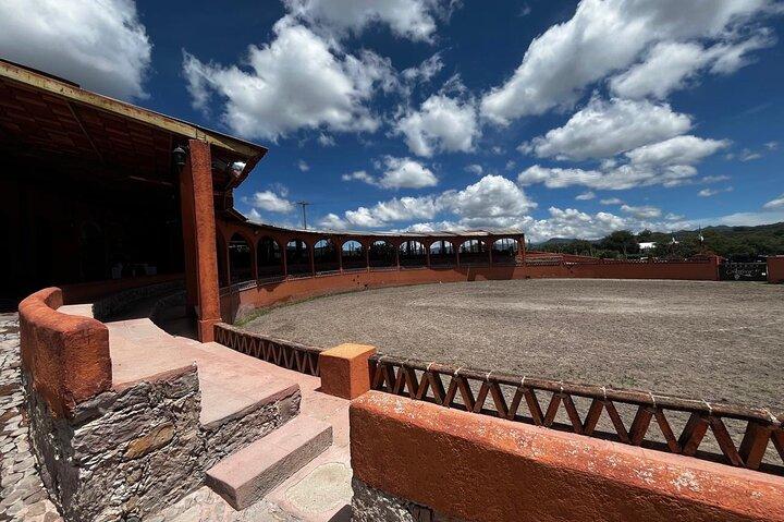 Private Tour Peña de Bernal, Hike and Vineyard Wine Cup Included