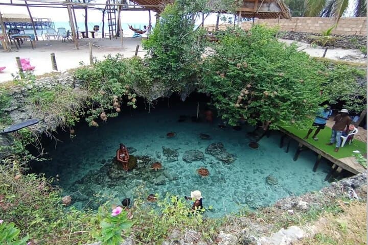 Zanzibar Turtles at Salam cave,Jozani forest & Paje beach.