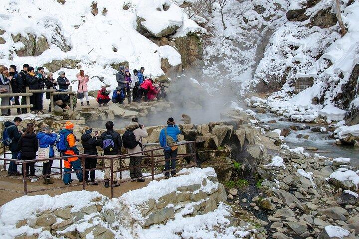 Snow Monkey Park & Zenkoji Private Tour (Customizable)